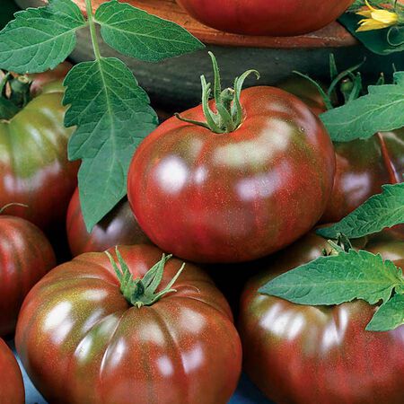 Chef's Choice Black, Tomato Seeds - Packet image number null